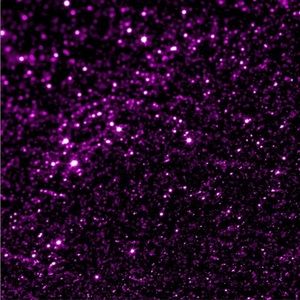 Ralph Lauren-Ricky Bag with 5 Ralph Lauren Bags , sunglasses & all PL Listing